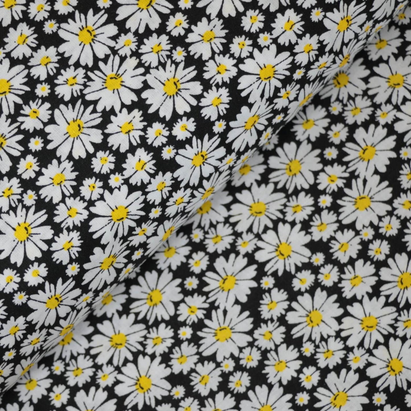 Daisies Black 100% Cotton