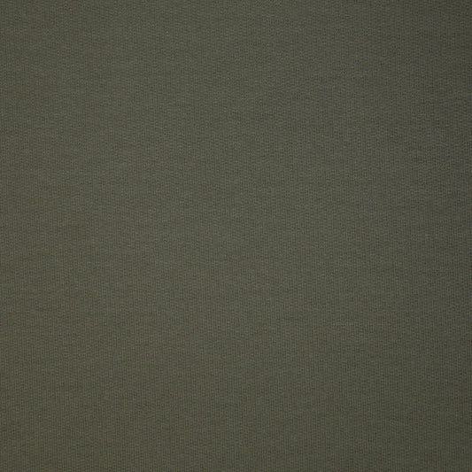 Olive Green Loopback Jersey per/metre