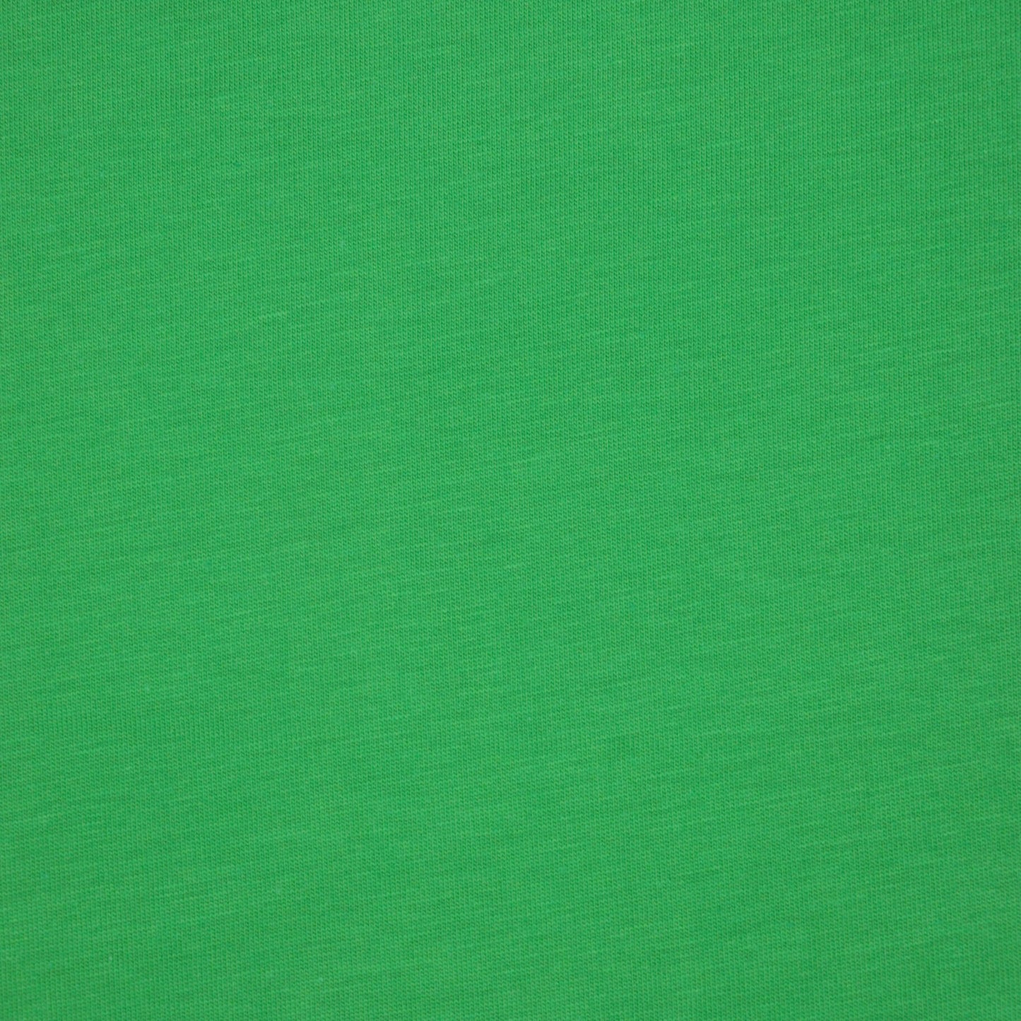 Plain Green Cotton Jersey 1m