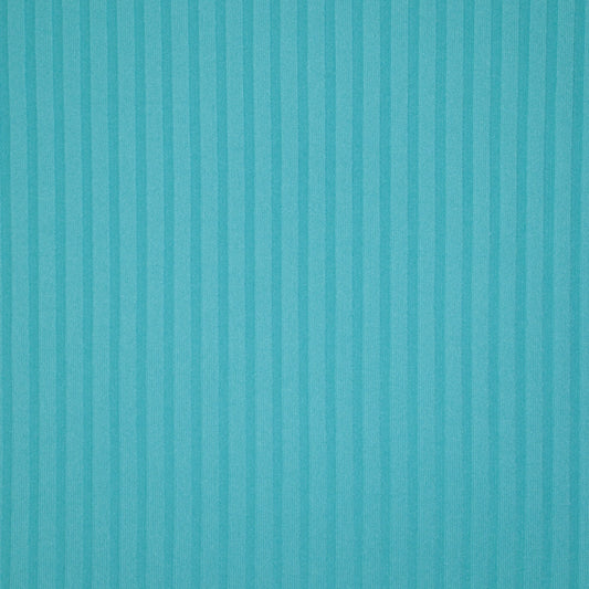 Turquoise Ribbed Jersey 1m