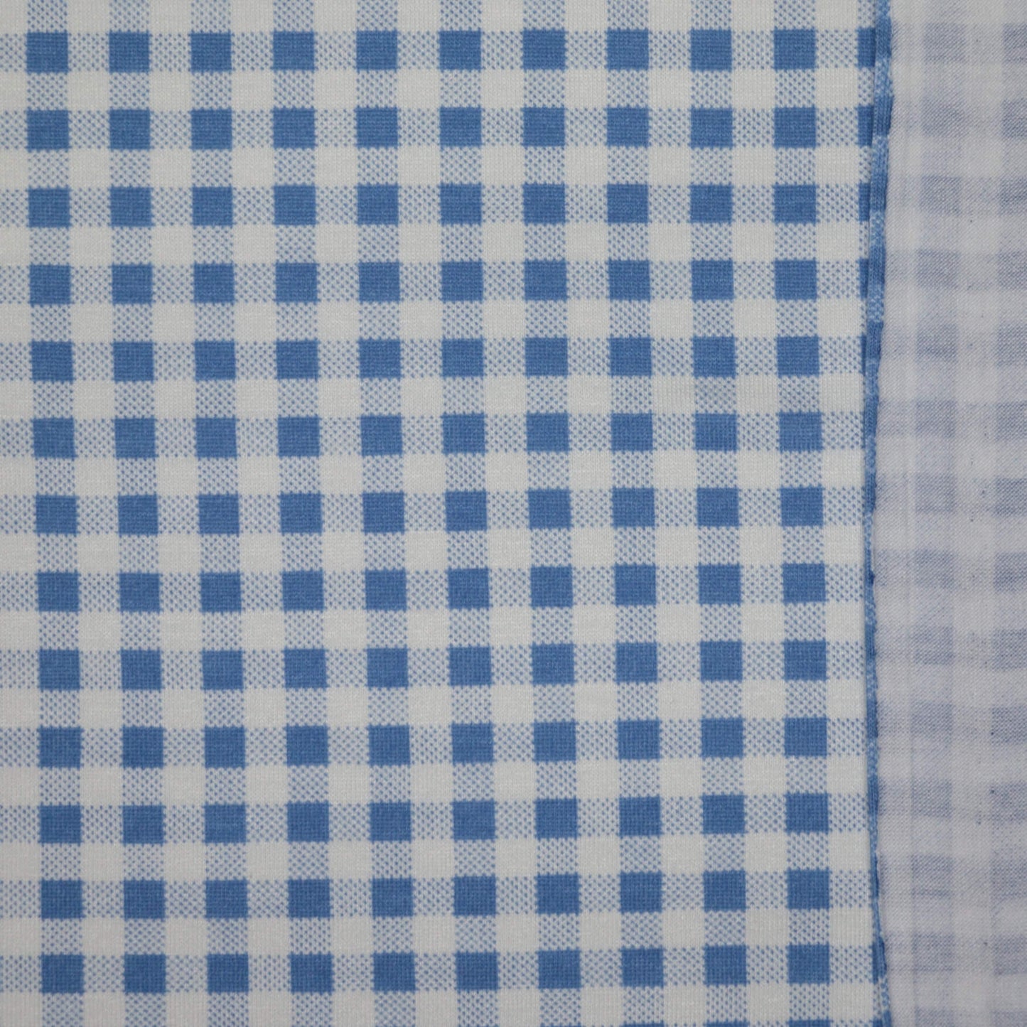 Blue Gingham Cotton Jersey 1m