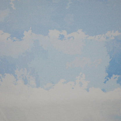 Cloud Print Loopback Sweatshirt per/metre