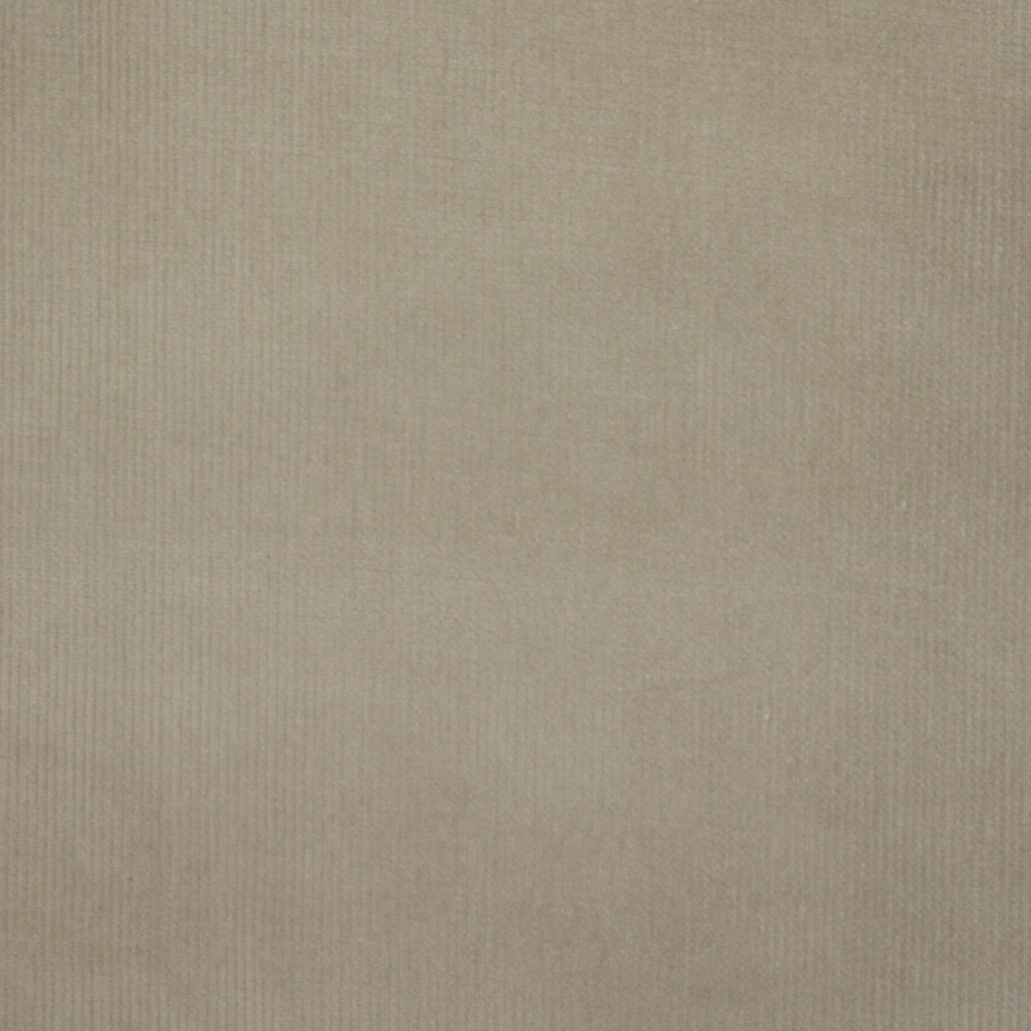 Cream Needle Corduroy per/metre