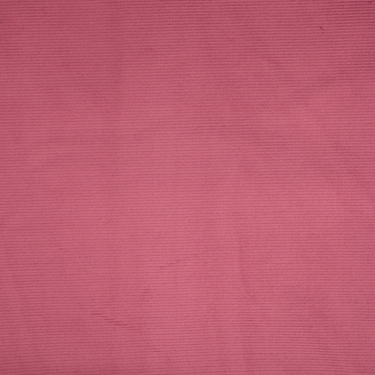 Pink Cotton Needle Corduroy per/metre