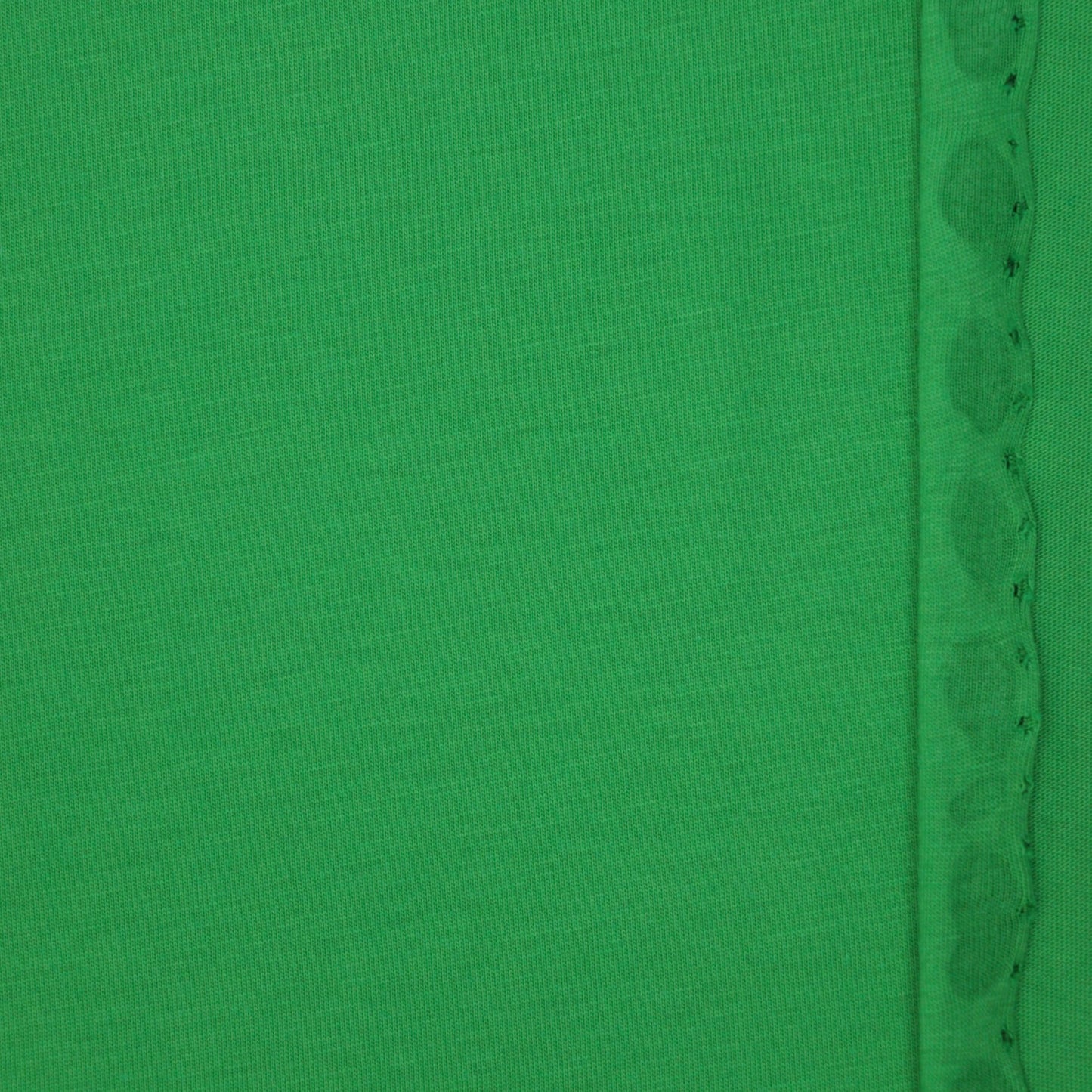 Plain Green Cotton Jersey 1m