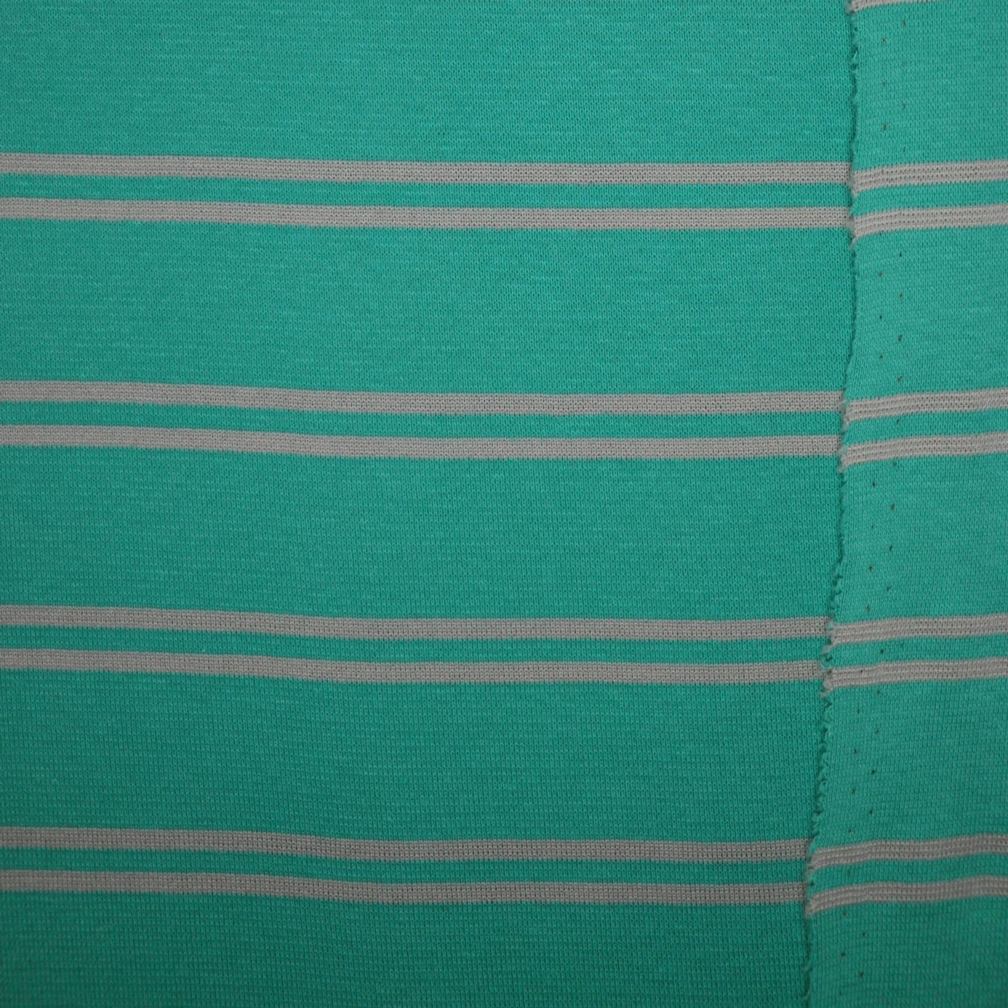 Teal Double Stripe Jersey 1m