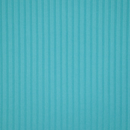 Turquoise Ribbed Jersey 1m
