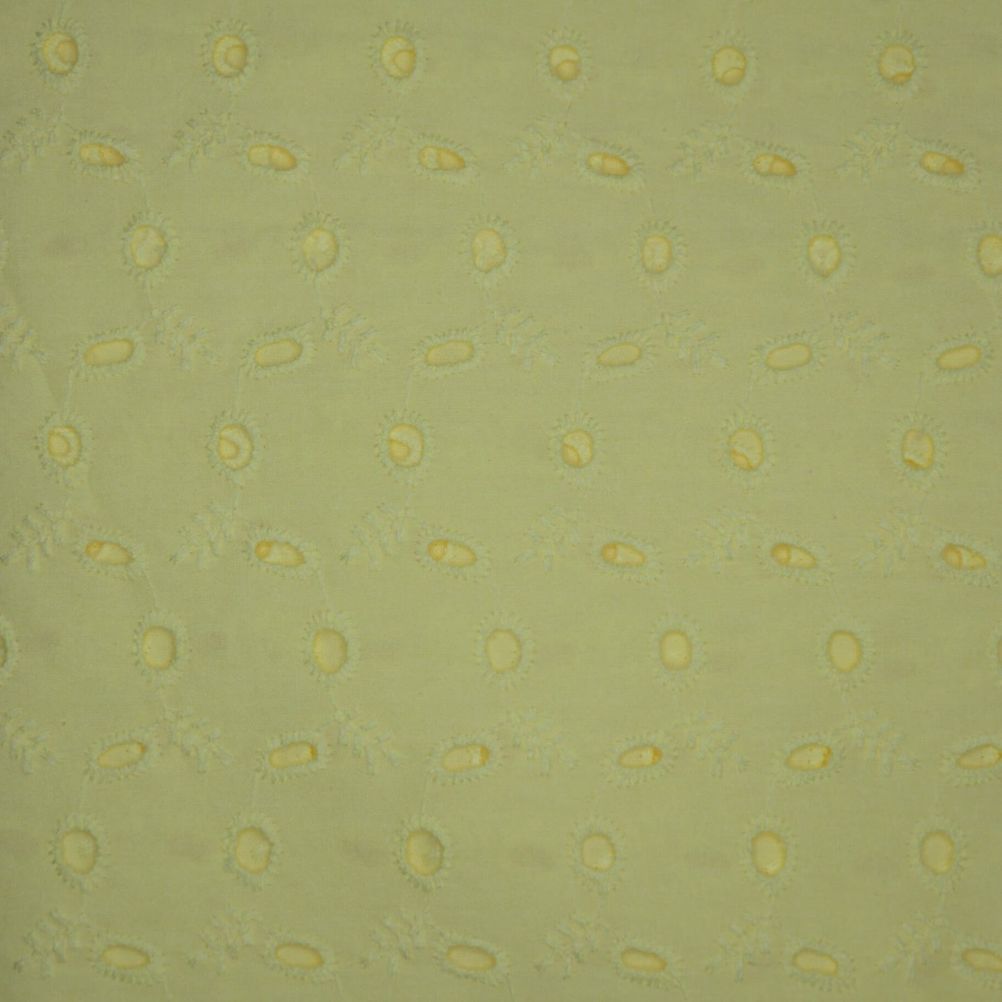 Lemon Broderie Anglaise per/metre